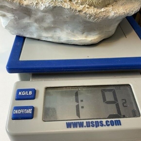 VTG White Polystone Polar Bear Cub Cuddling w/ Mother Statue Figurine 6.5"X8.5" - Picture 13 of 13